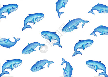 海豚水彩背景图片