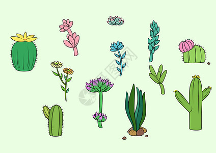 多肉绿色植物彩绘多肉植物设计图片