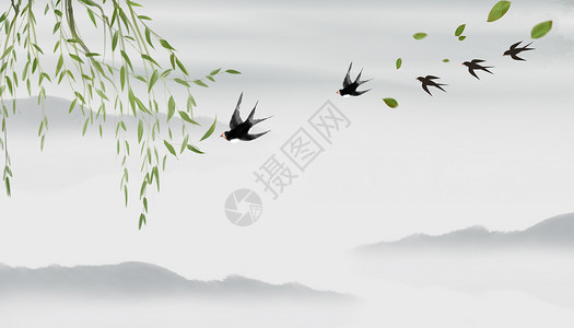 桃树上的小鸟中国风水墨画设计图片