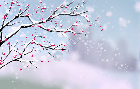 冬天枯树枝插画背景图片