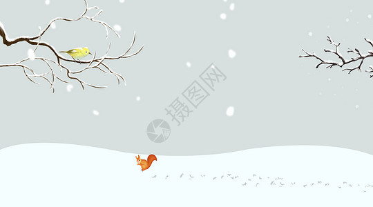 冬天小樽雪地里的小松鼠插画