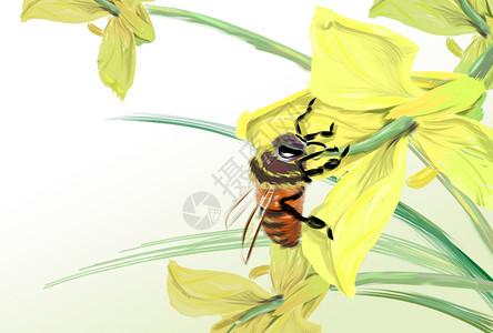 蜜蜂的春图片