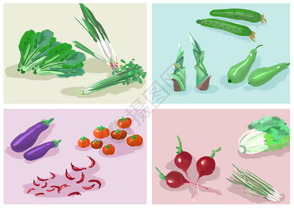 芹菜土豆丝蔬菜绘图插画