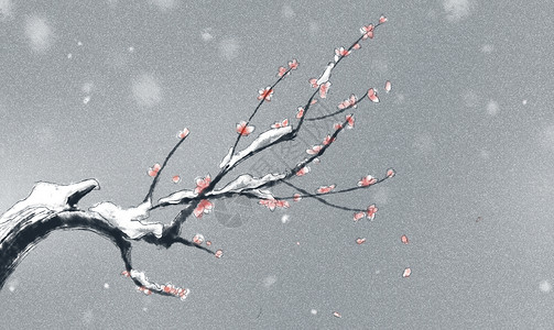 冬日梅花背景图片