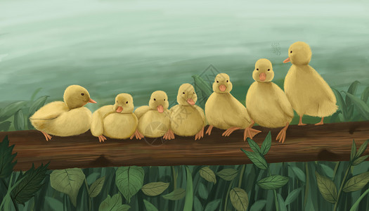 生态动物鸭子插画