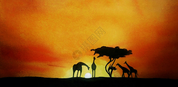 非洲素材草原上的长颈鹿群插画