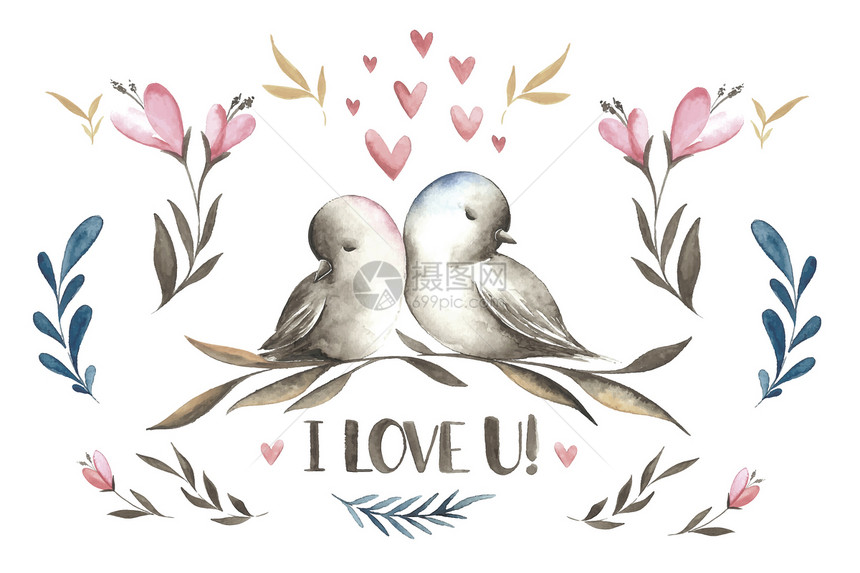 爱情鸟水彩图片