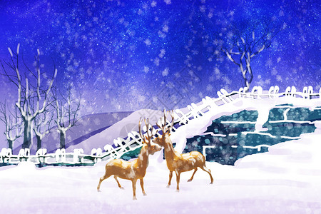 冬季雪景麋鹿高清图片素材