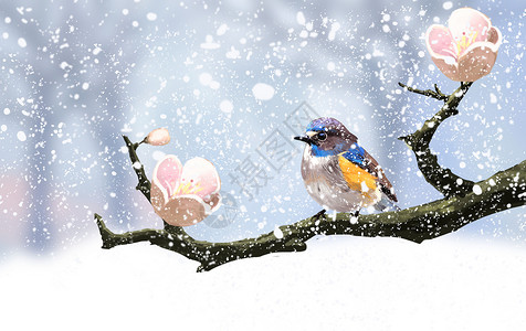 冬天唯美雪景枝头上的小鸟插画