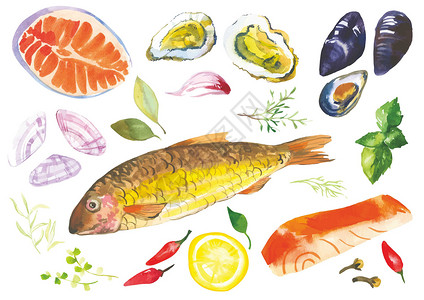 鱼和食材年夜饭食材插画