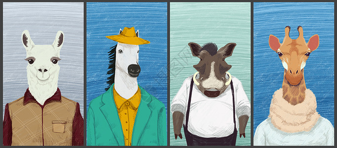 羊驼动物插画插画