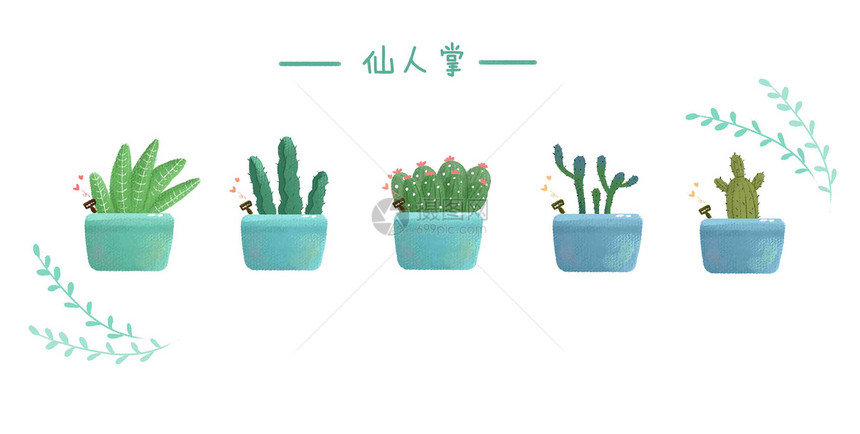 植物图片