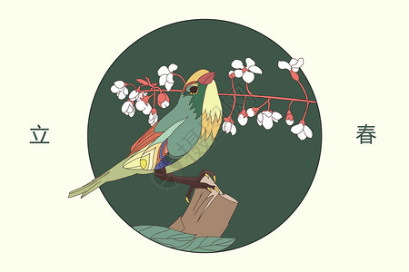 立春小鸟插画图片