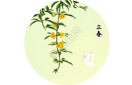 手绘植物迎春花春插画