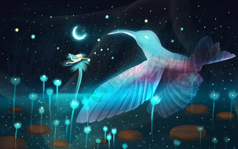 梦幻的鸟月亮高清图片素材