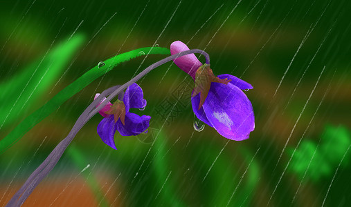 绿色自然风光雨里的花朵插画