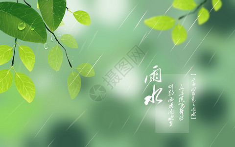 树叶树枝与水滴雨水插画