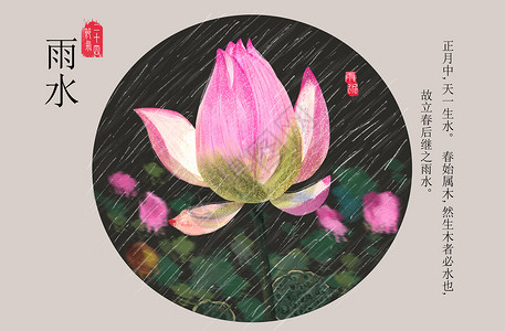 燕子彩色背景绿色莲 荷花插画