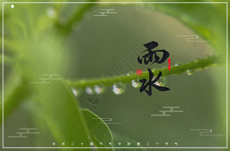 雨水节气背景图片