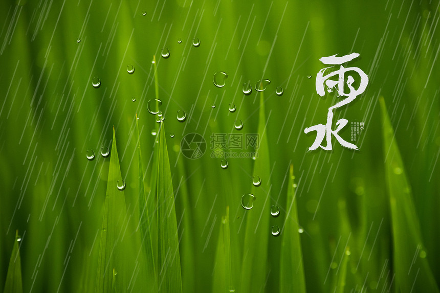 雨水图片