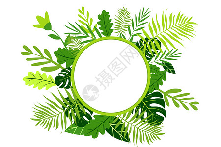 绿叶植物元素背景高清图片