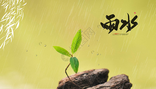 雨水传统节日高清图片素材