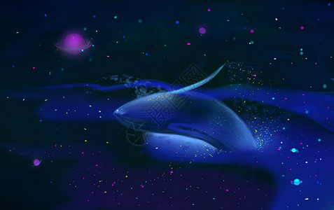 夜晚时空中的鲸鱼高清图片