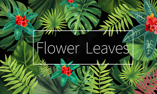 鲜花封面绿色植物手绘背景插画