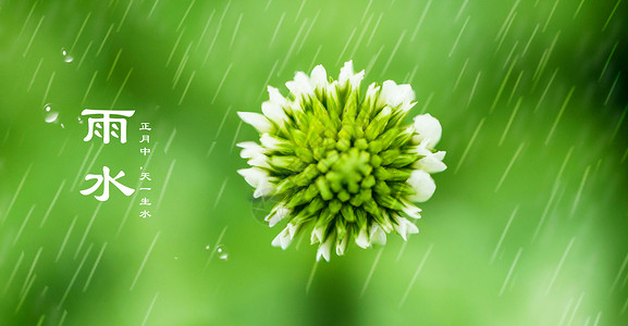 24节气雨水节日背景背景图片