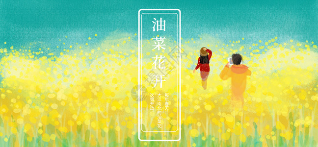 油菜花开背景图片