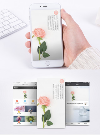 简约玫瑰爱情小清新海报模板