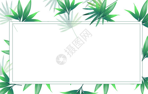 夏季绿色树叶绿色植物背景插画