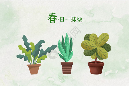 绿色植物和花盆春天绿色植物盆景插画