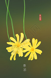 手绘野菊花朵野菊插画