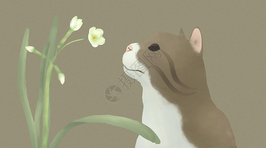 亲近自然猫咪与花朵插画