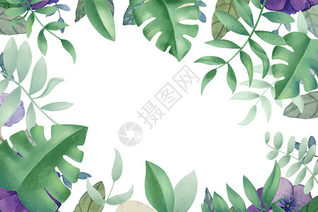 矩形花边框绿色植物背景插画