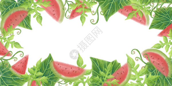 绿植藤蔓边框西瓜背景素材插画