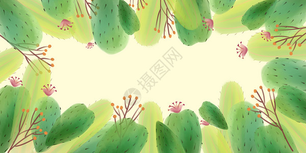 植物花环图案清新仙人掌背景边框插画