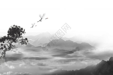 松树素材照片中国风背景图设计图片
