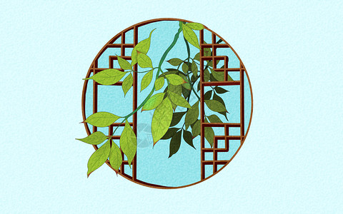 花窗格穿过窗户的树叶插画