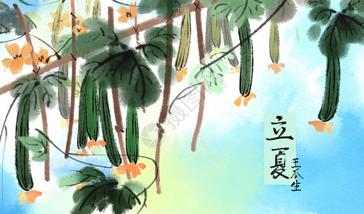 丝瓜蛋汤二十四节气立夏插画