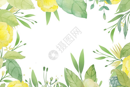 热带花卉植物背景图片