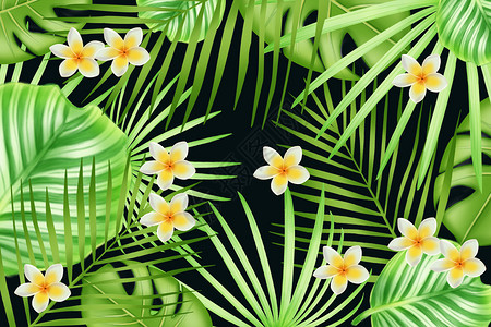 热带植物背景素材背景图片