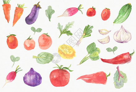 蔬菜果蔬三折页手绘蔬菜素材插画