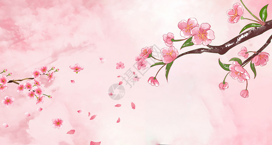 樱花花卉素材背景背景图片