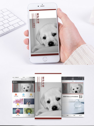 爱护宠物爱护动物手机海报配图模板