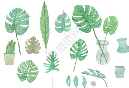 高清北欧素材植物叶子背景素材插画