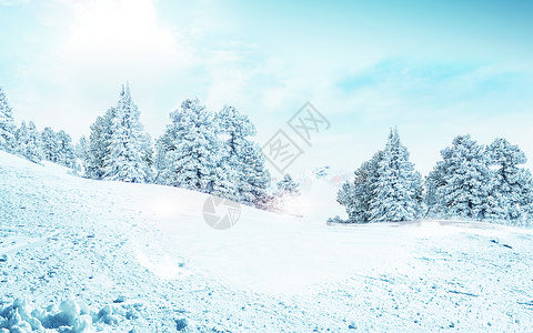 松树设计素材美丽的雪景设计图片