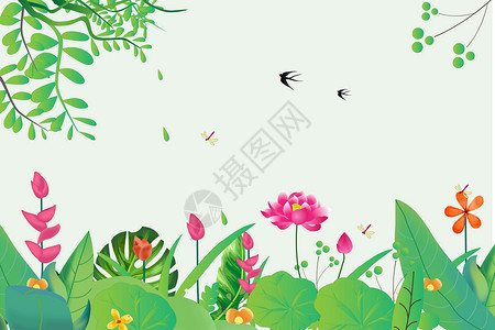 鸟累素材免费春天花卉插画