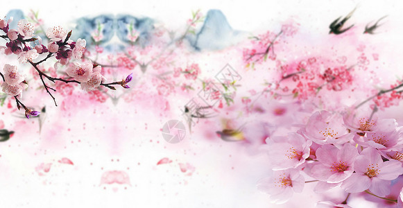 樱花背景背景图片
